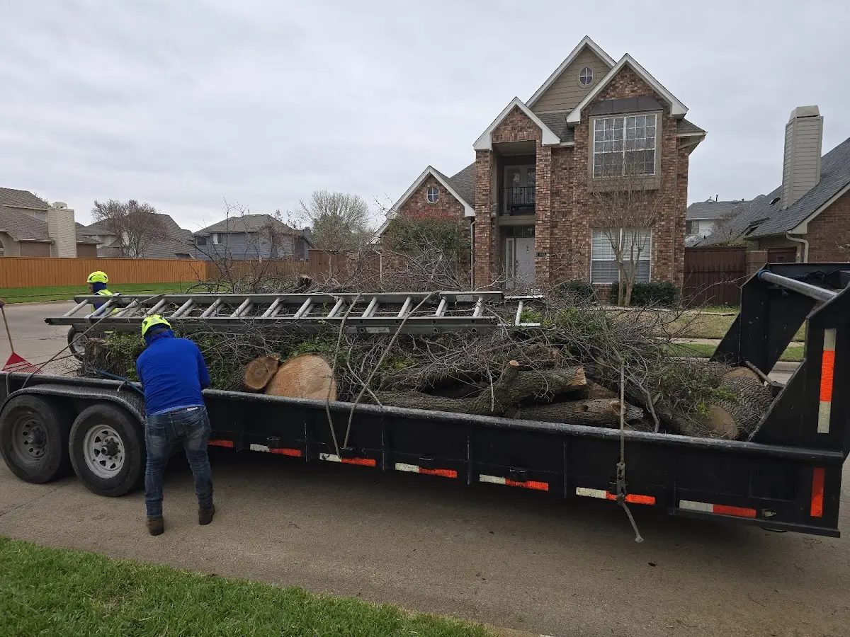 Expert Tree Fertilization with proper safety equipment in Modesto